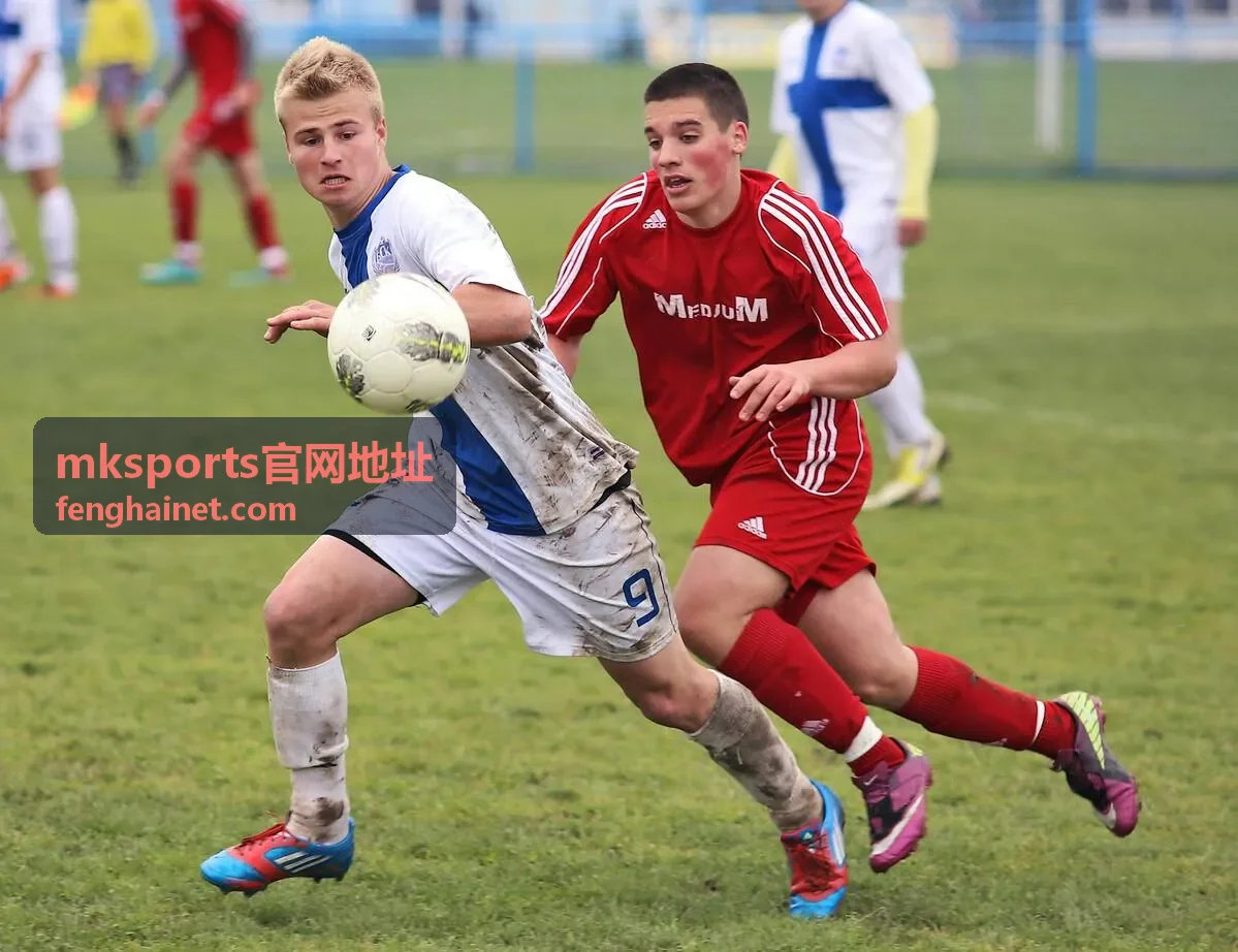 mksports官网地址官方入口核对页面示意