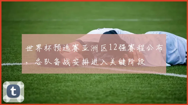 世界杯预选赛亚洲区12强赛程公布，各队备战安排进入关键阶段