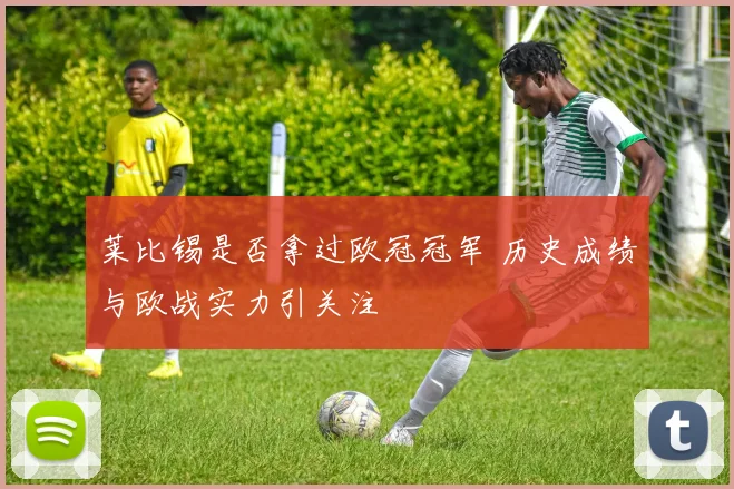 莱比锡是否拿过欧冠冠军 历史成绩与欧战实力引关注