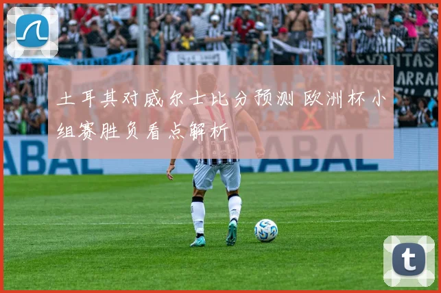 土耳其对威尔士比分预测 欧洲杯小组赛胜负看点解析
