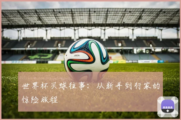 世界杯买球往事：从新手到行家的惊险旅程